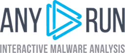 ANY RUN